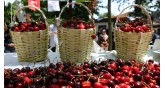 Uluslararası Tekirdağ Kiraz Festivali 