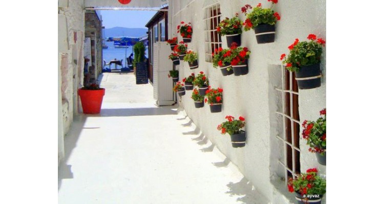 Bodrum-houses