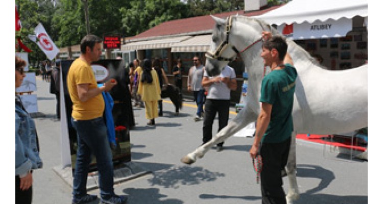 International Horse and Equestrian Fair 