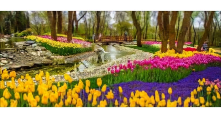 İstanbul-Lale Festivali