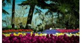 İstanbul-Lale Festivali