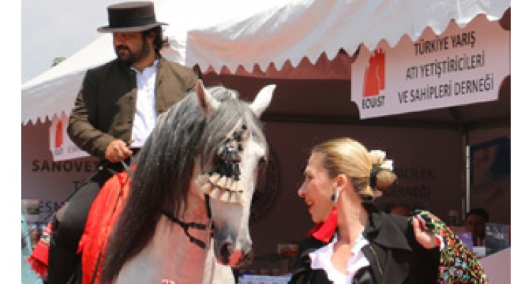 International Horse and Equestrian Fair 