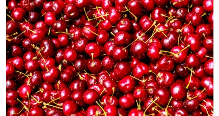 Uluslararası Tekirdağ Kiraz Festivali 
