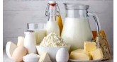 Foodist İstanbul-Uluslararası Gıda ve İçecek Ürünleri Fuarı