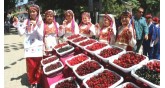 Uluslararası Tekirdağ Kiraz Festivali 
