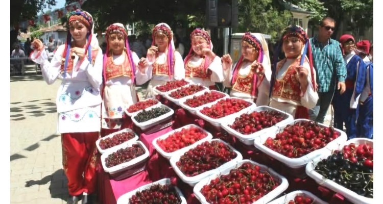 Uluslararası Tekirdağ Kiraz Festivali 
