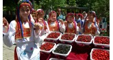 Uluslararası Tekirdağ Kiraz Festivali 
