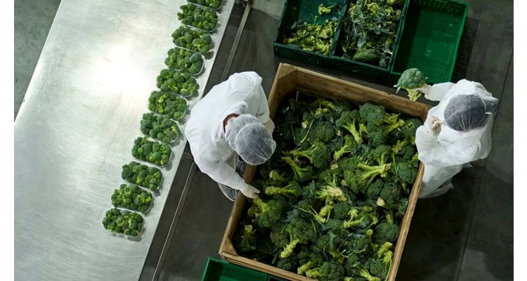 Foodist İstanbul-Uluslararası Gıda ve İçecek Ürünleri Fuarı